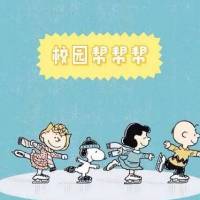 案例图片