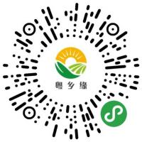 案例圖片